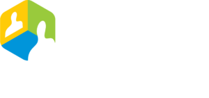 VidyoHealth Logo