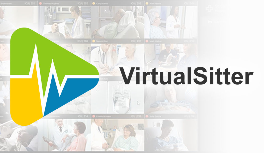 VirtualSitter logo